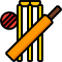 cricket-icon cricket-icon
